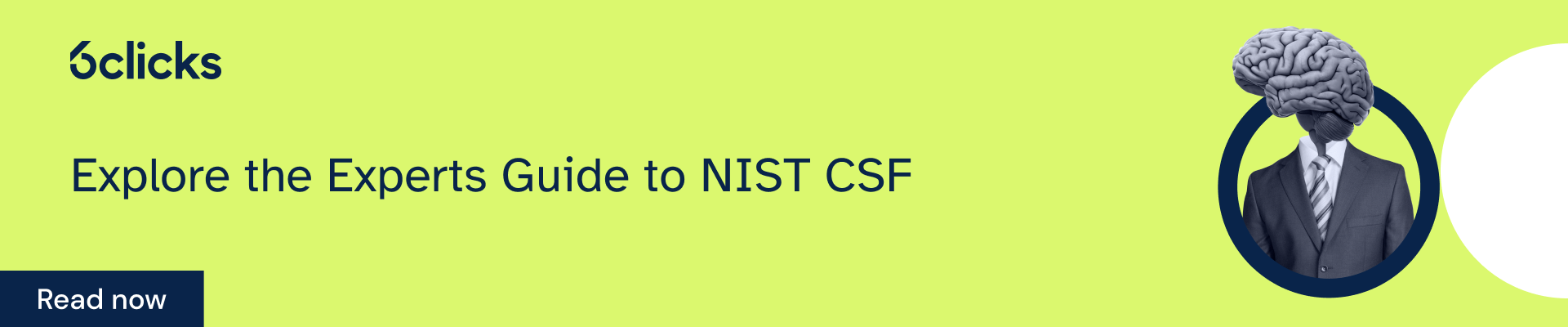 Experts Guide to NIST CSF