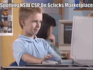 NSW CSP compliance tips for government departments